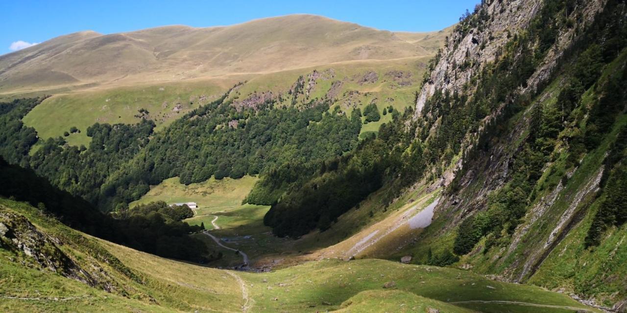 Le 41 Avenue Foch Hotel Bagnères-de-Luchon Kültér fotó